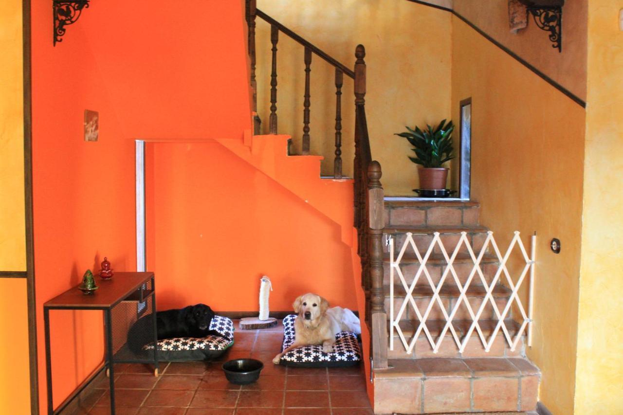 Casa Rural Baobab Romancos Exterior foto